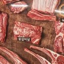 와와사격장 이미지