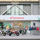 ㈜뉴서울코리아투어 이미지