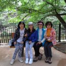 하회마을테마 이미지