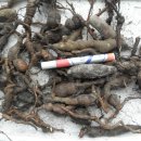 광산구-025 이미지