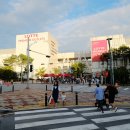 롯데대구랑방컬렉션금진화 | 이천 롯데 프리미엄 아웃렛/입점브랜드/영업시간/휴무