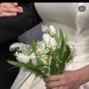 W.9 엘로디스냅 계약 후기(짝꿍구해요,페이백) 용산로얄파크 아이폰스냅