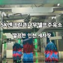 행복주유소 | 눈 온 뒤 필수 코스, SK엔크린큰나무셀프주유소 카스파힐링 자동세차 후기