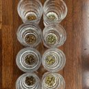 바리스타 기초자격증 이미지