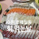 회먹는날 - 진주시 | 회먹는날