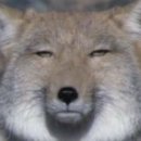 비비 PC방 이미지