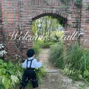 디어올리 이미지