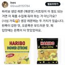 트윗 49