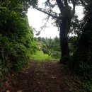 호근동-7 이미지