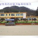 쌍계초등학교 이미지