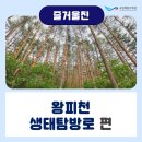 왕피천유역 생태탐방로(1코스) | [즐거울진📍] 19 – 🌲왕피천 생태탐방로 편🥾
