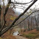 금화모텔 이미지