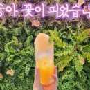 방추리