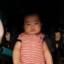 죽도령 영등포점 | 진진바라 여의도점 두번째 돌잔치답사