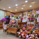 2025년 5월 넷째 주 불심사 일요법회 법문 이미지