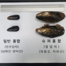 옹진슈퍼 이미지