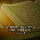 삼천궁녀 이미지