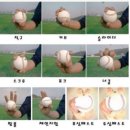 퇴사해야지 블로그로 찾아오는 수상한 여성
