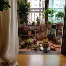 농업회사법인 ( 주 ) 참풍경 이미지