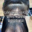 70 | 갈라지는 앞머리 볼륨매직으로 해결! 진주혁신충무공동 미용실 앞머리 볼륨매직