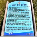 대덕산 정상 이미지