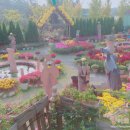 애견샵 어린왕자 이미지