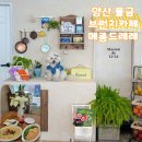 양산 물금 메종드레레 브런치카페 애견동반 후기