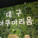 쓰리씨원