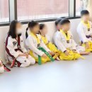 미래의리더효태권도 이미지