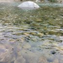 쉴만한물가 민박 이미지