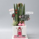 승진세차장 이미지