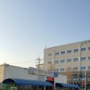 포항현지인맛집 숙이네수산 물회 솔직후기