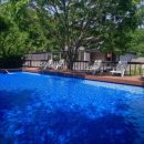 토마토 수영장 이미지