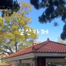 앞산강아지 | 대구 앞산 핫한 신상 카페 ‘새소리’ 내돈내산 방문 후기