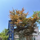 하늘가득너를담고 | [경기도 가평 카페] 하늘가득너를담고 - 가평카페추천