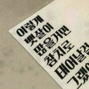 고래야,참치야! 이미지