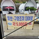 [고령] 대구 근교 글램핑장, 청솔 글램핑, 내돈내산