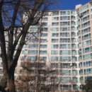 수암초교 이미지