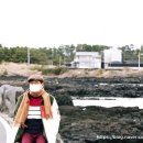 우연 한동 이미지