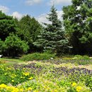 강원특별자치도립대학교 이미지