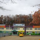 대월초등학교 이미지