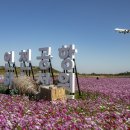 인천국제공항 하늘정원 내 이미지
