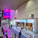서울 | 도슨트와 함께한 코엑스 아트페어 미술시장, 2025 키아프 프리즈 서울 후기