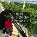 도장농장 | 아이랑 갈만한곳 서울근교 파주-코알라딸기농장(34개월미만 무료) 내돈내산 후기