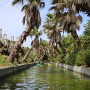 힐링카약파크비체올린 이미지