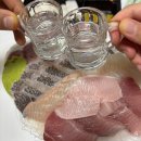 풍양시장 | 구리농수산물시장 풍양수산 특방광돔회 포장 내돈내산 후기