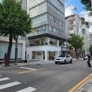 영신숲 외 가로수길 | 예비신부 웨딩촬영 염색 추천) 라리엔 가로수길점 퍼스널 컬러진단, 염색 후기