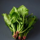 더바른피티 이미지