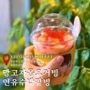 컴포즈 커피 신메뉴 망고자몽요거빙 연유수박팥빙 비교 내돈내산 후기