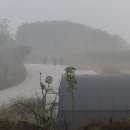 백양사역 이미지